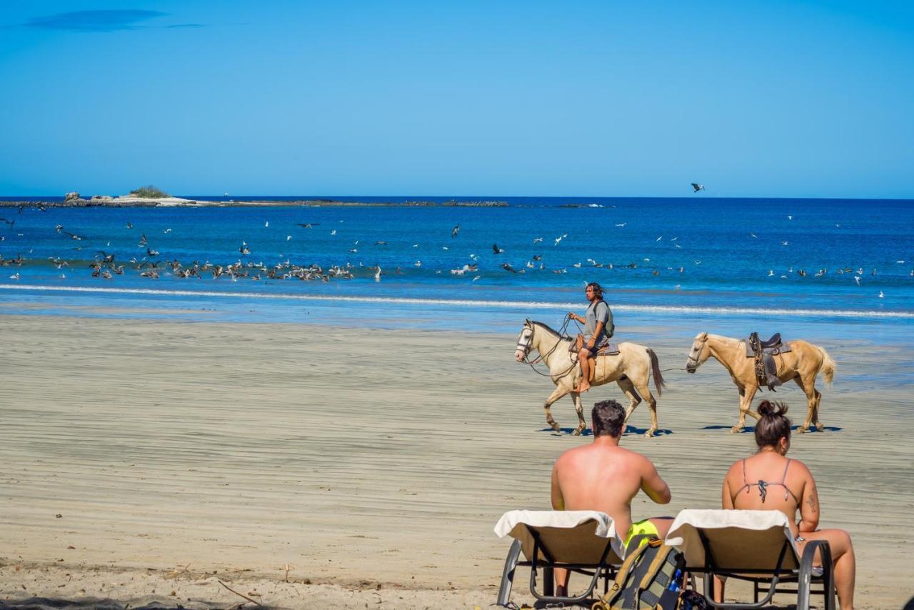 Jet Luxury At Langosta Beach Resort & Villas تاماريندو المظهر الخارجي الصورة
